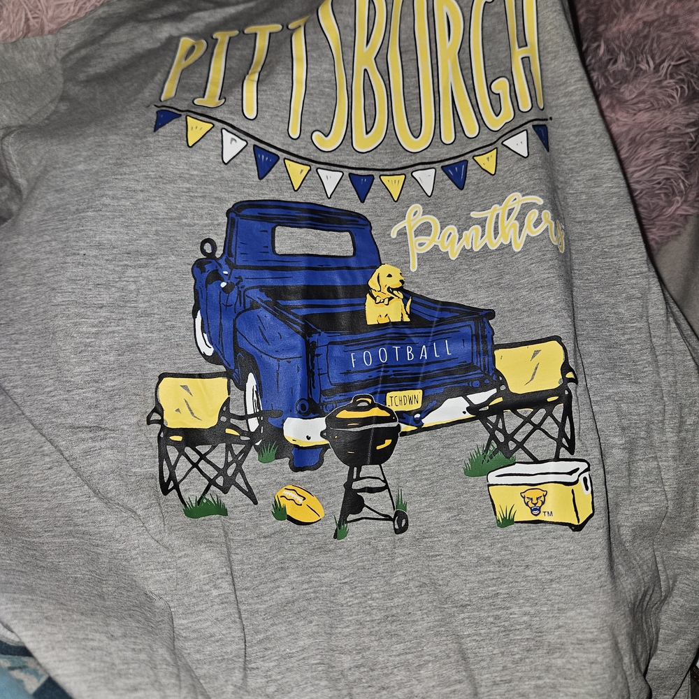 Gray Pittsburgh Panthers Graphic Tee